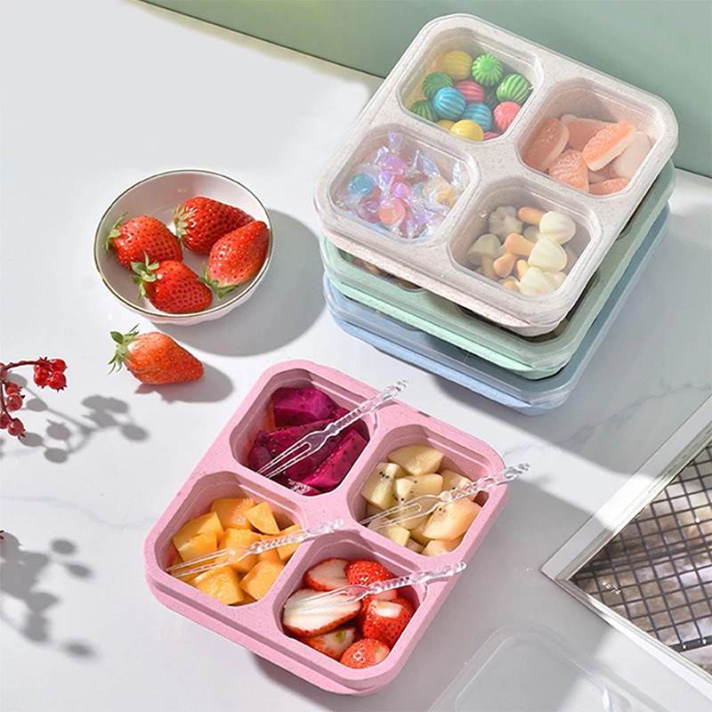Food Storage Refrigerator - 4 Grids Food Storage Box Portable