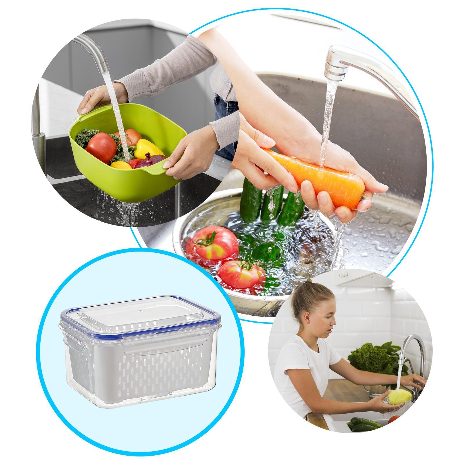 4 In 1 Food Storage Container  - Food Storage Refrigerator 评论和价格