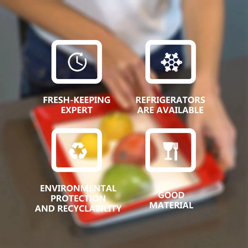 Food Preservation Tray PP Reus - Food Storage And Safety 评论和价格