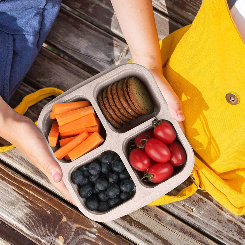 4 Grids Food Storage Box Porta - Food Storage Refrigerator 评论和价格