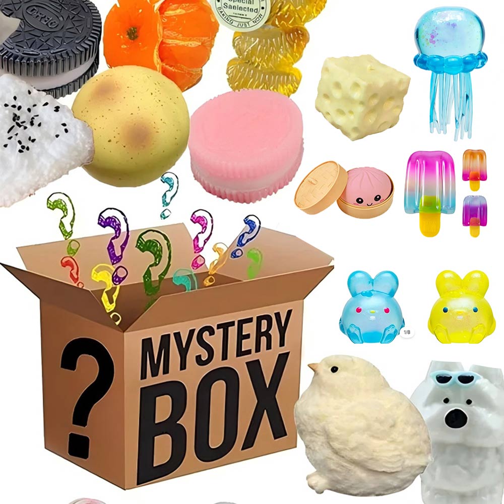 Mystery Fidget Toy Blind Box , - Food Storage And Container 评论和价格
