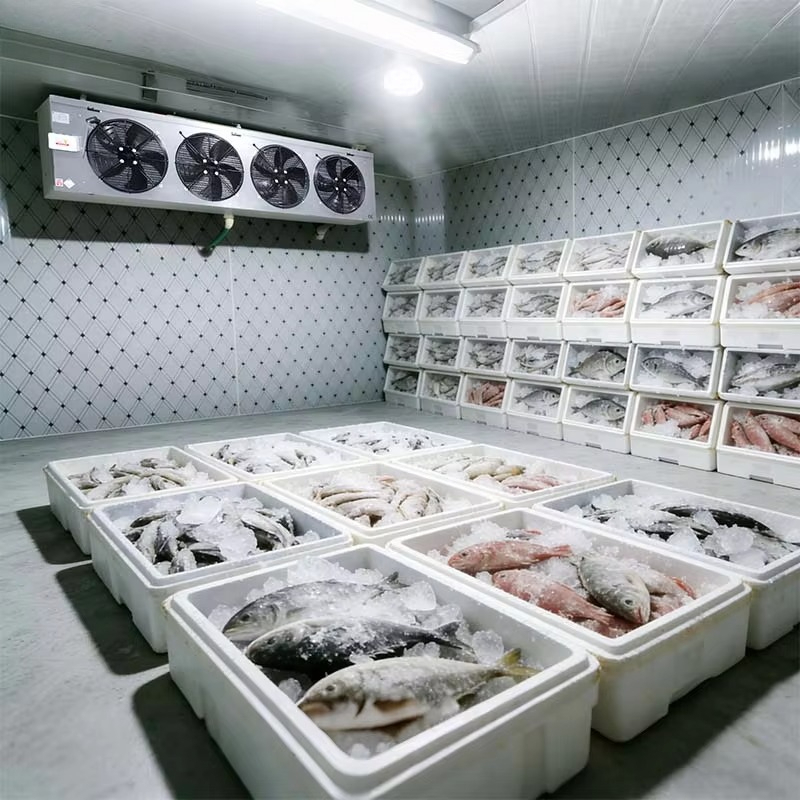 Customized Food Grade Cold Sto - Food Storage And Safety 评论和价格